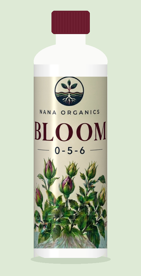 BLOOM 500 mL bottle, front label